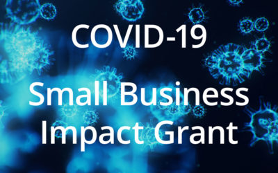 COVID-19 Small Business Impact Grant