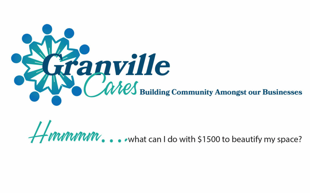 Opportunity for Granville Small Businesses to Get a Face Lift